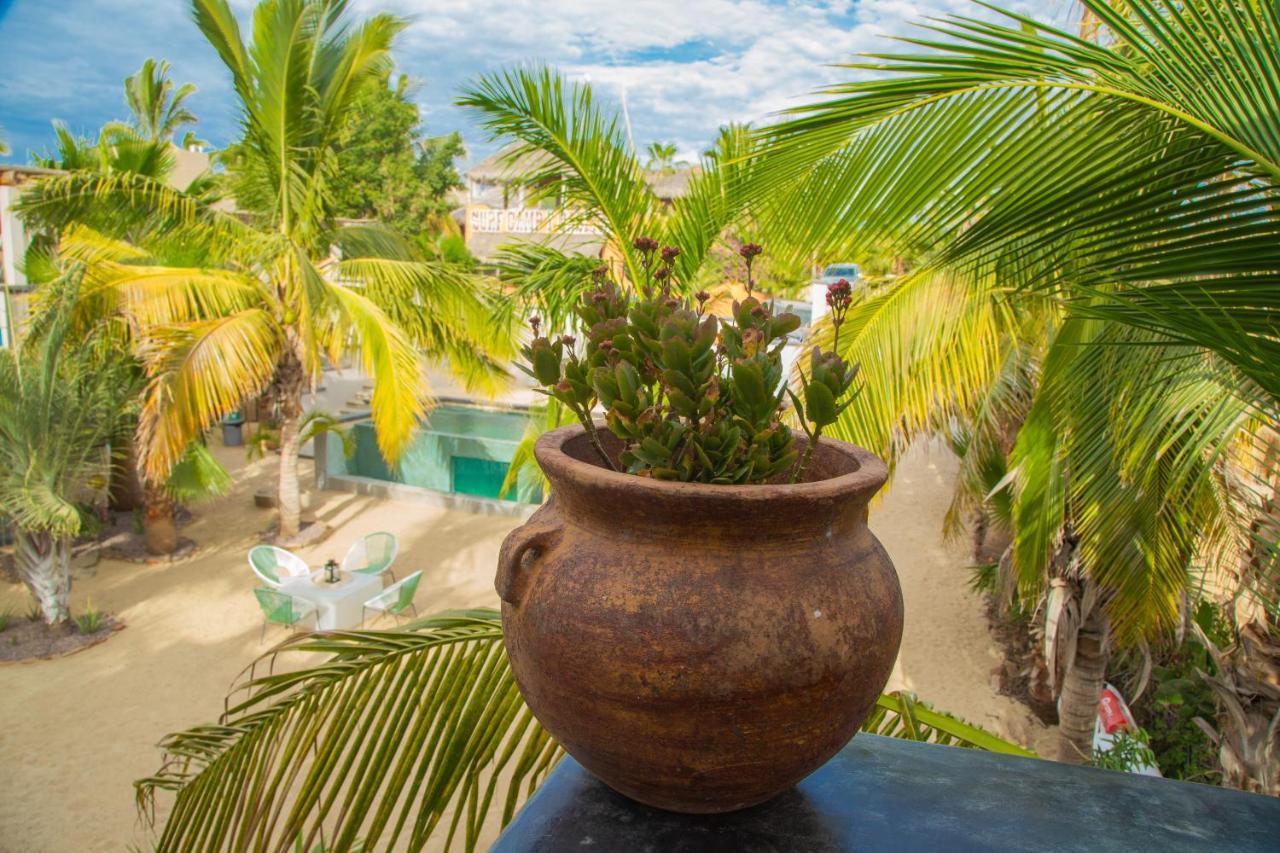 Pure Baja Private Suites-Upscale Property With Infinity Pool And Lush Gardens El Pescadero  ภายนอก รูปภาพ