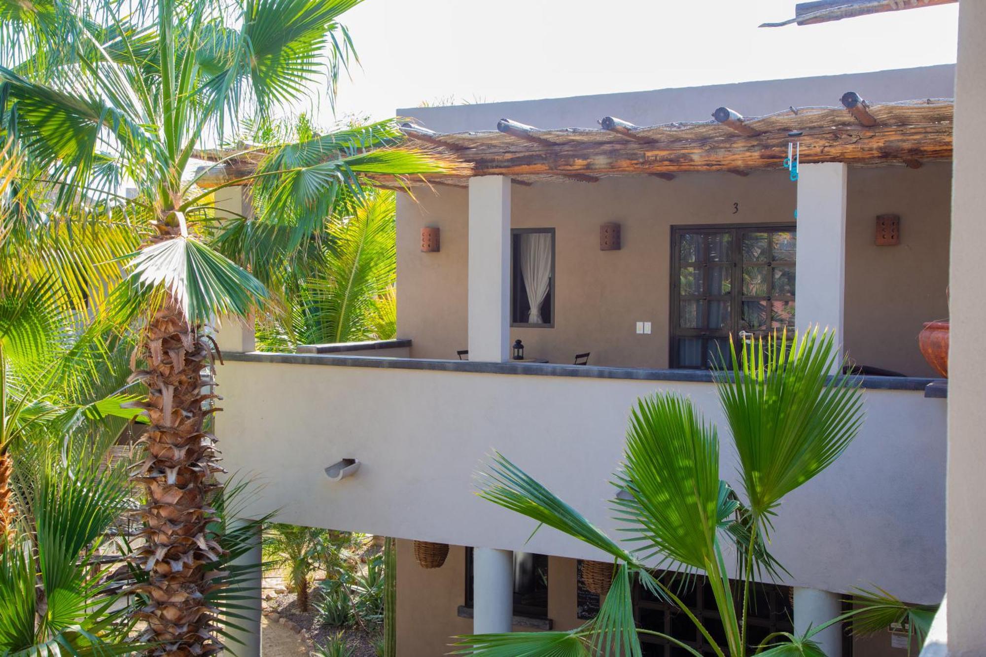 Pure Baja Private Suites-Upscale Property With Infinity Pool And Lush Gardens El Pescadero  ภายนอก รูปภาพ
