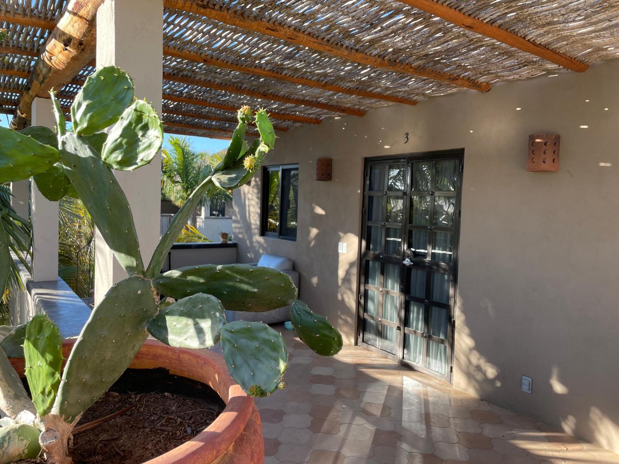 Pure Baja Private Suites-Upscale Property With Infinity Pool And Lush Gardens El Pescadero  ภายนอก รูปภาพ